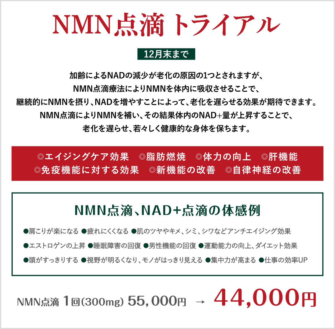 美白・美肌キャンペーンフォトフェイシャル&ト-ニング